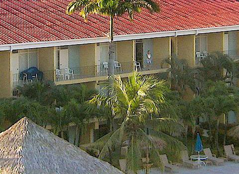 Flamingo Beach Resort Pool 1